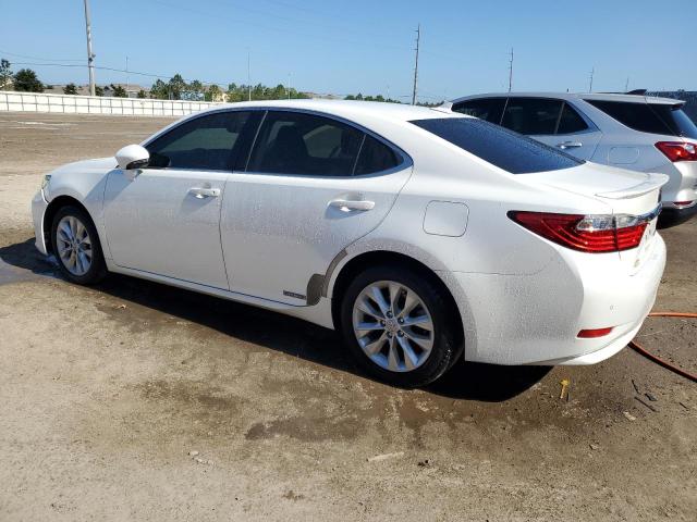 Photo 1 VIN: JTHBW1GG3E2053169 - LEXUS ES300 