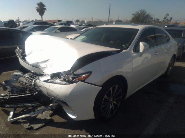 Photo 1 VIN: JTHBW1GG3G2105953 - LEXUS ES 300H 