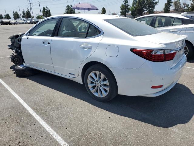 Photo 1 VIN: JTHBW1GG5E2042139 - LEXUS ES300 