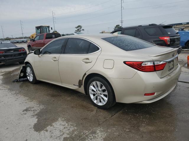 Photo 1 VIN: JTHBW1GG6F2081954 - LEXUS ES300 