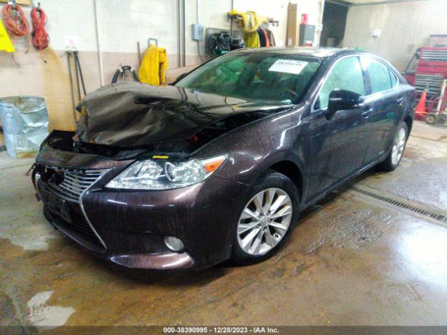 Photo 1 VIN: JTHBW1GG7D2010176 - LEXUS ES 300H 