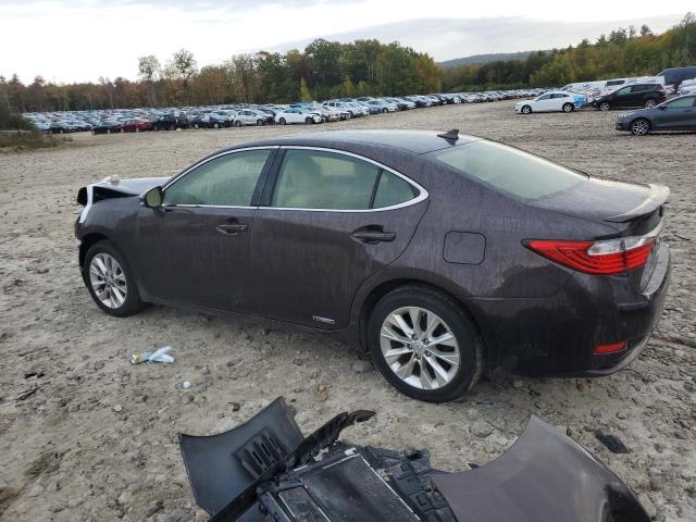 Photo 1 VIN: JTHBW1GG8D2003480 - LEXUS ES 300H 