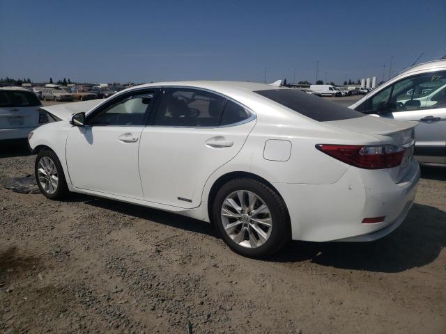 Photo 1 VIN: JTHBW1GG8D2018335 - LEXUS ES300 