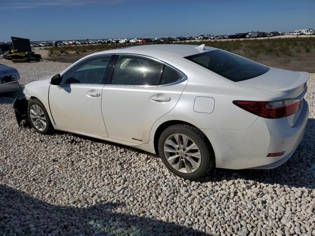 Photo 1 VIN: JTHBW1GG8E2047786 - LEXUS ES300 