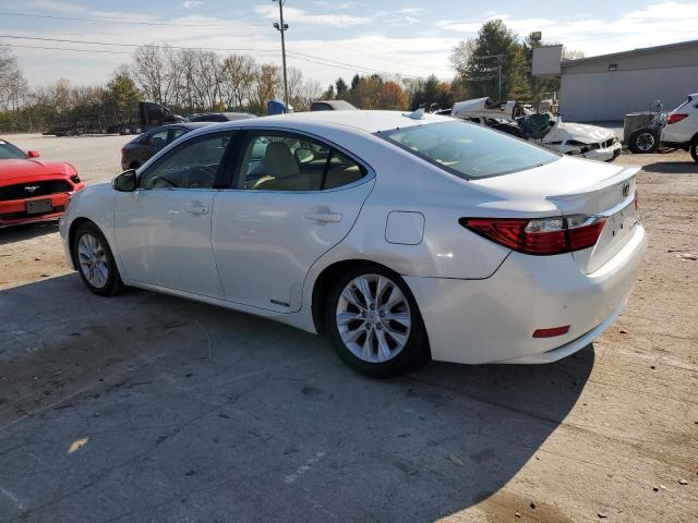 Photo 1 VIN: JTHBW1GG9D2037556 - LEXUS ES 300H 