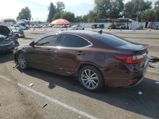 Photo 1 VIN: JTHBW1GG9G2114009 - LEXUS ES 300H 