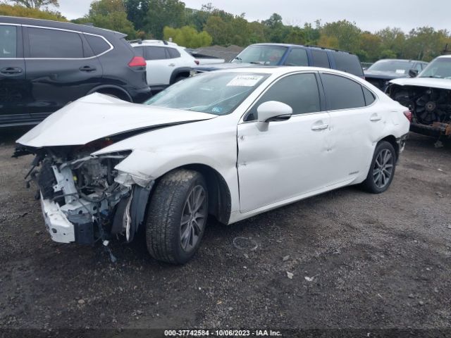 Photo 1 VIN: JTHBW1GG9H2142961 - LEXUS ES 300H 