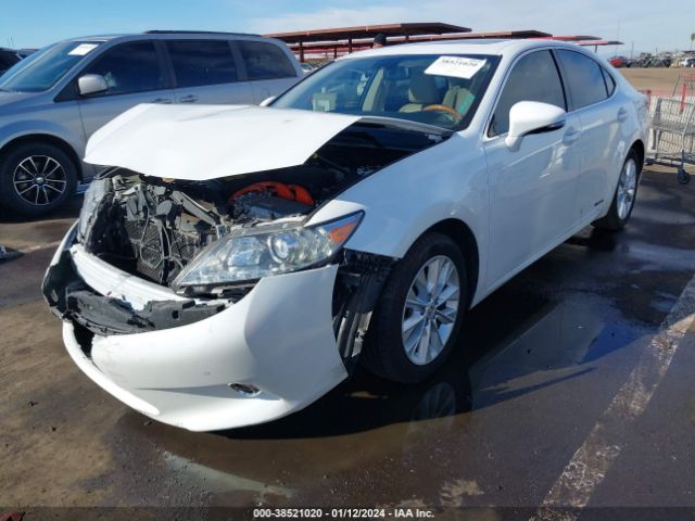 Photo 1 VIN: JTHBW1GGXE2058725 - LEXUS ES 300H 