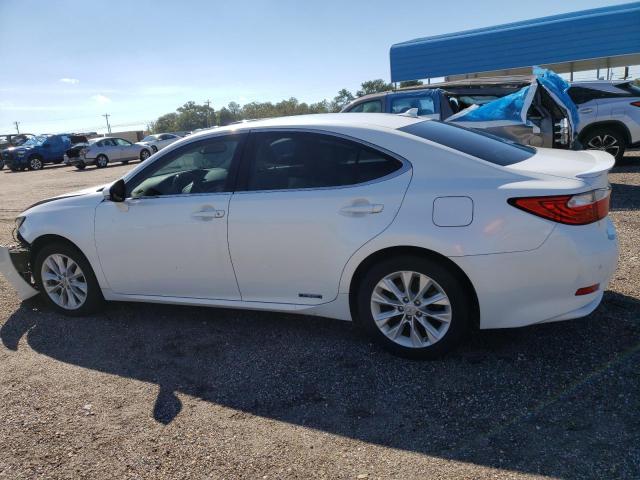 Photo 1 VIN: JTHBW1GGXE2063584 - LEXUS ES 300H 