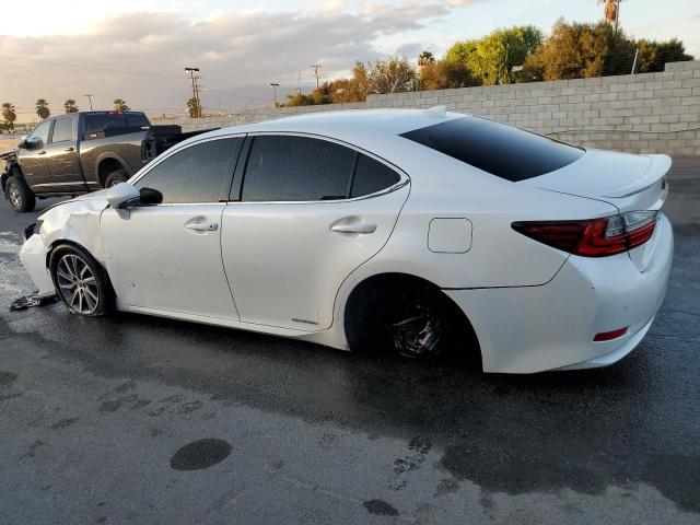 Photo 1 VIN: JTHBW1GGXH2143021 - LEXUS ES 300H 