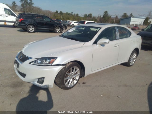 Photo 1 VIN: JTHCF5C20B5045420 - LEXUS IS 250 