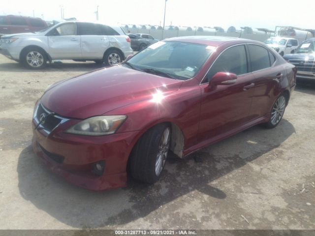 Photo 1 VIN: JTHCF5C20B5047989 - LEXUS IS 250 