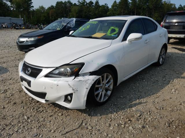 Photo 1 VIN: JTHCF5C26B5049858 - LEXUS IS 250 