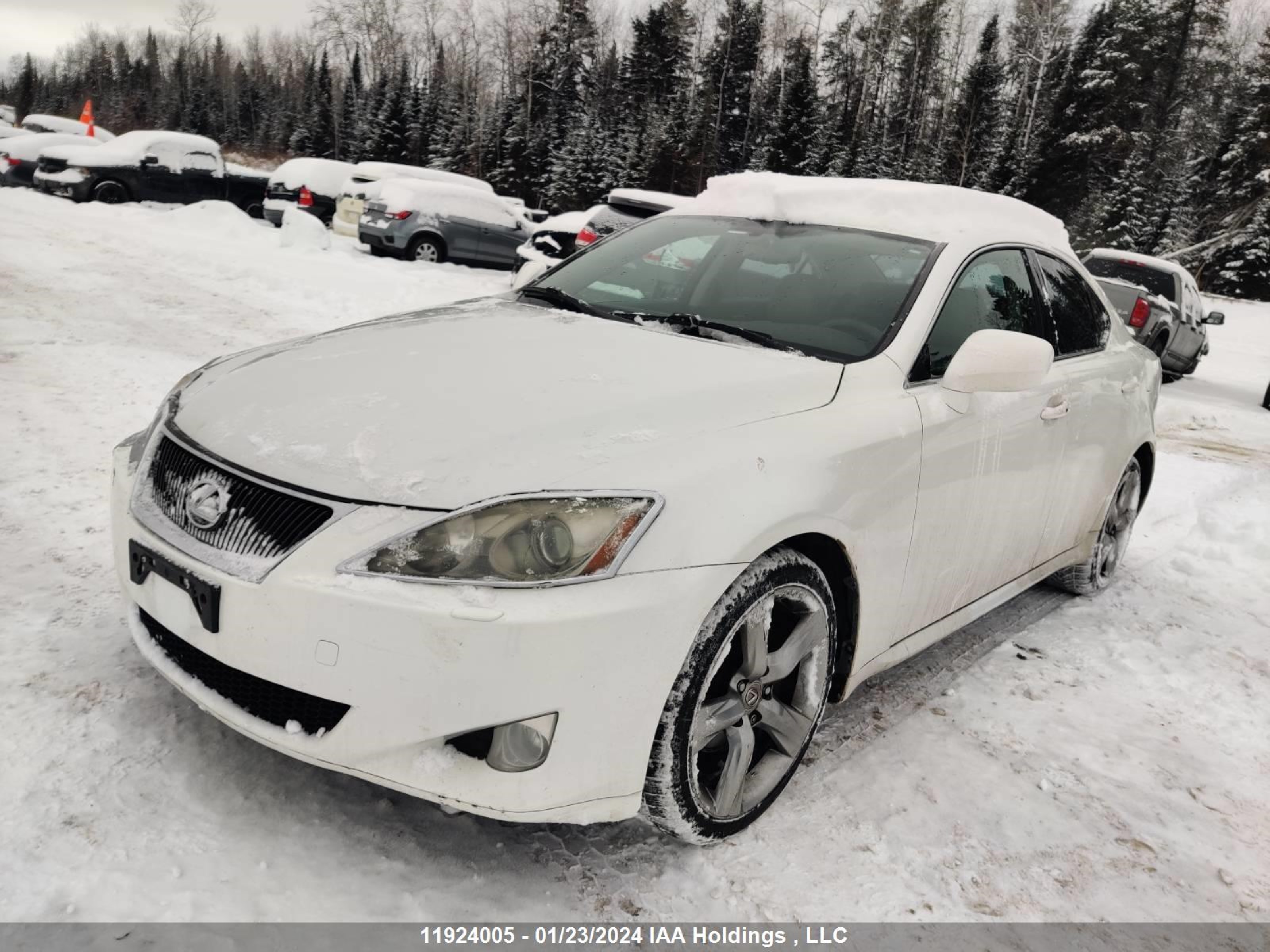 Photo 2 VIN: JTHCK262185016250 - LEXUS IS 