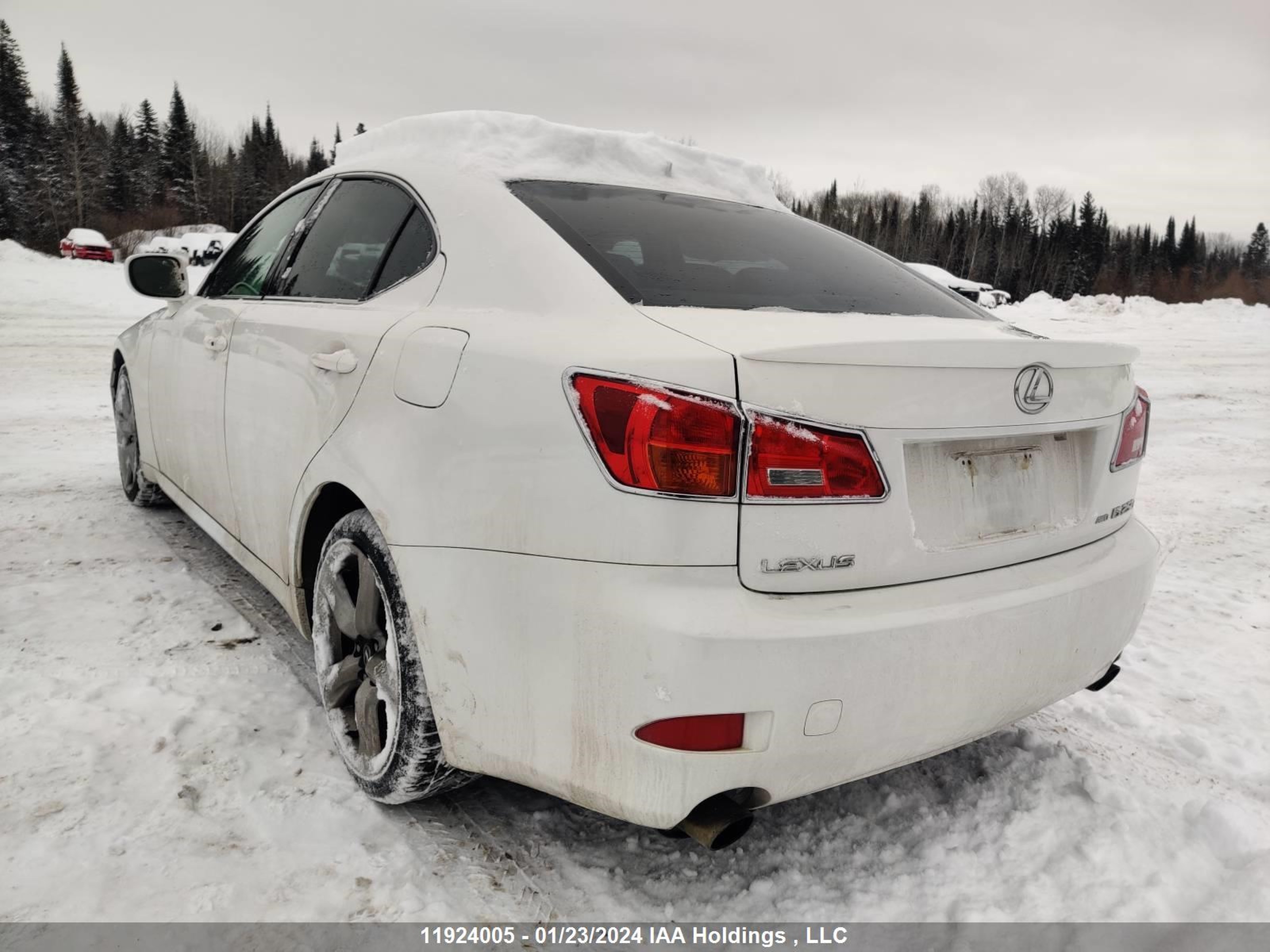 Photo 3 VIN: JTHCK262185016250 - LEXUS IS 