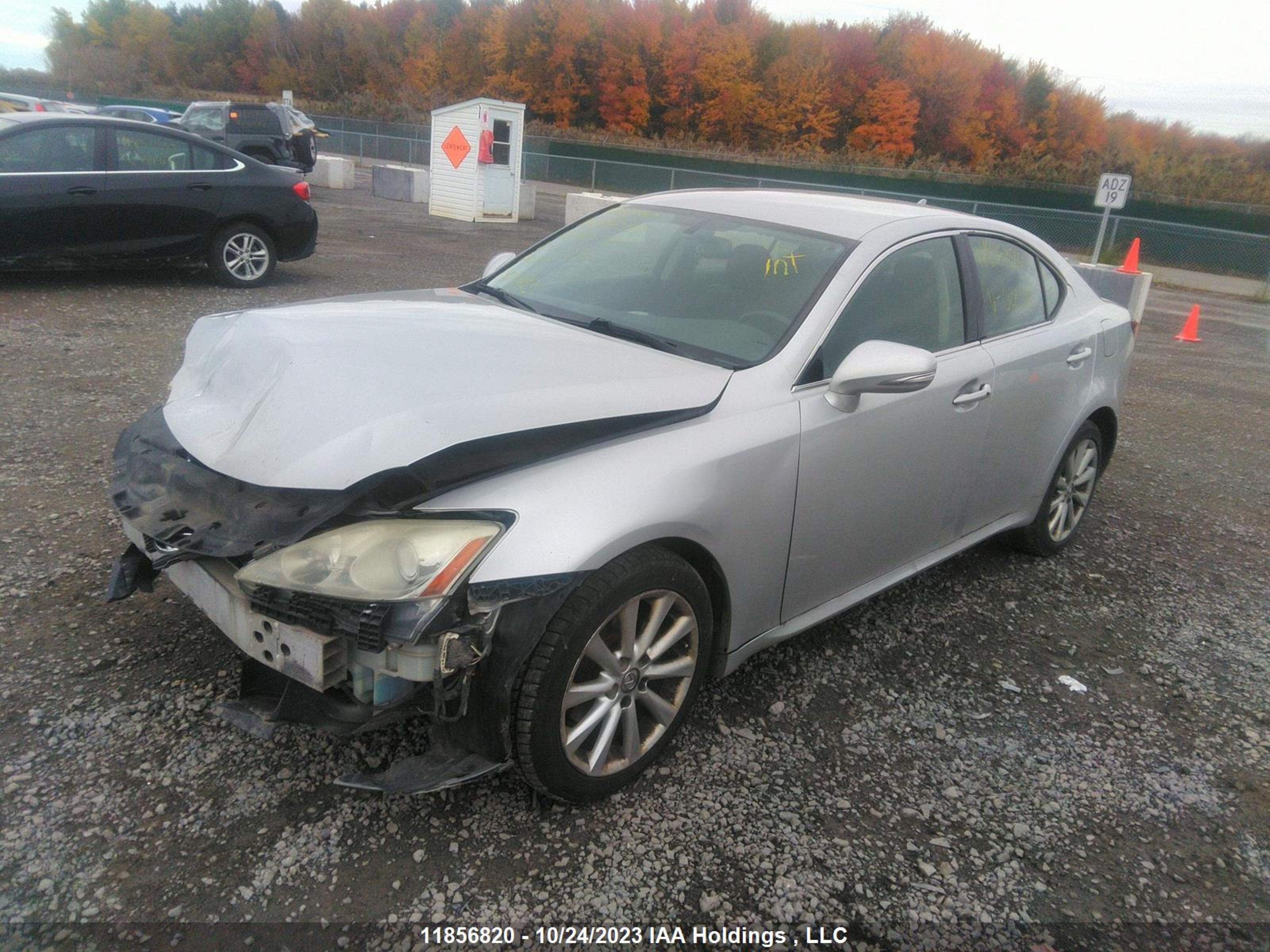 Photo 1 VIN: JTHCK262895028591 - LEXUS IS 