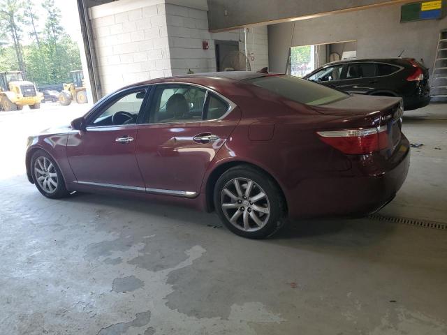 Photo 1 VIN: JTHCL46F095002692 - LEXUS LS460 