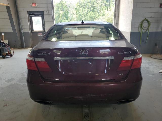 Photo 5 VIN: JTHCL46F095002692 - LEXUS LS460 