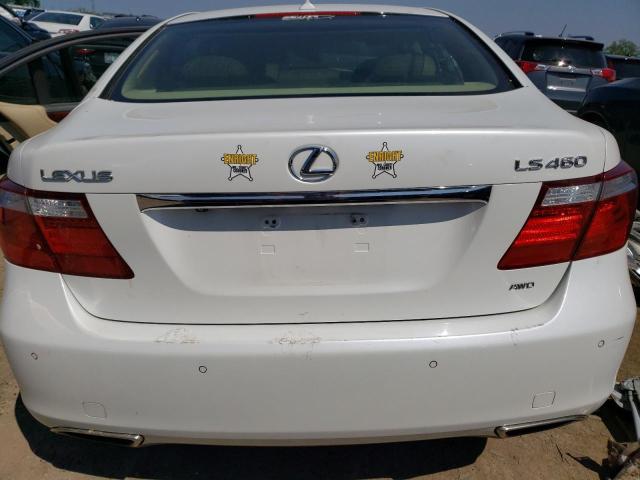 Photo 5 VIN: JTHCL46F095003907 - LEXUS LS460 