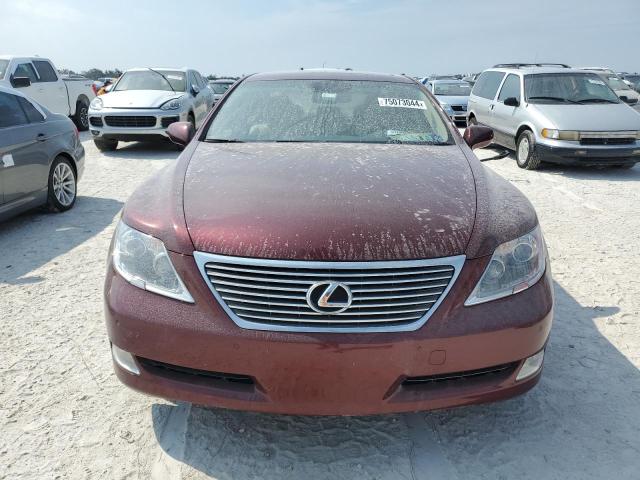 Photo 4 VIN: JTHCL46F095004068 - LEXUS LS 460 