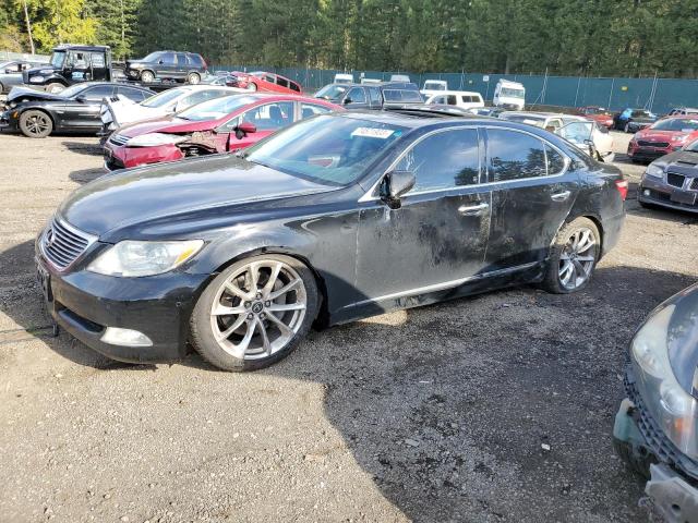 Photo 0 VIN: JTHCL46F395001181 - LEXUS LS460 