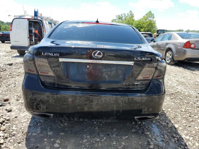 Photo 5 VIN: JTHCL46F495002002 - LEXUS LS 460 