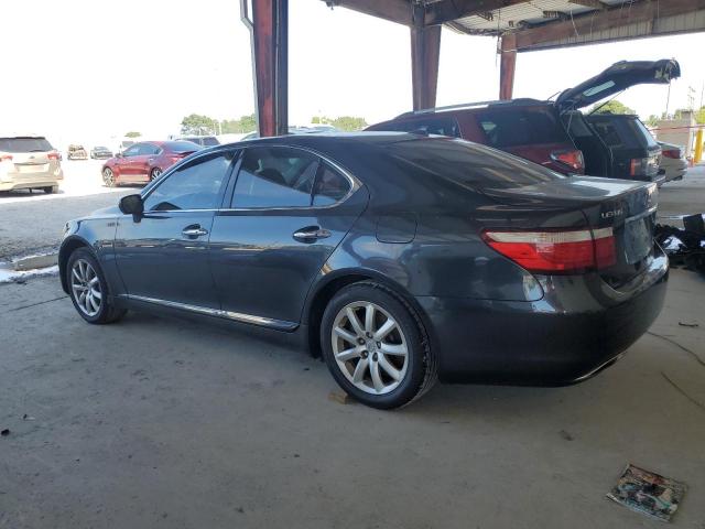 Photo 1 VIN: JTHCL46F695002387 - LEXUS LS 460 