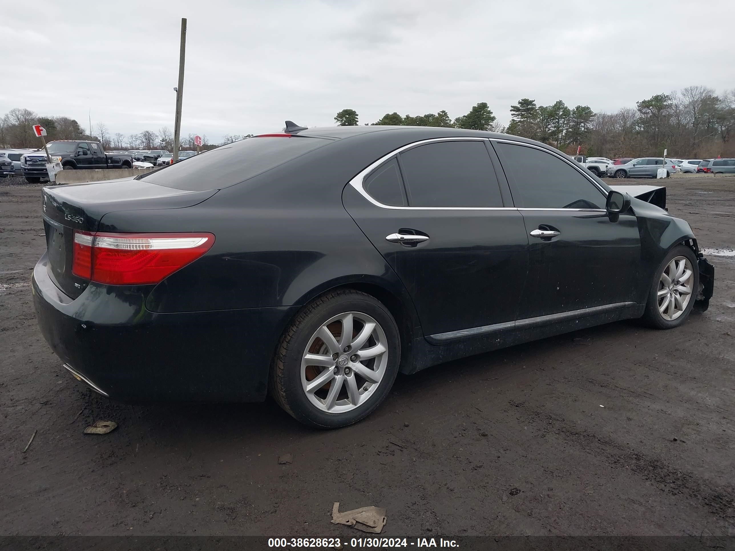 Photo 3 VIN: JTHCL46F795001765 - LEXUS LS 