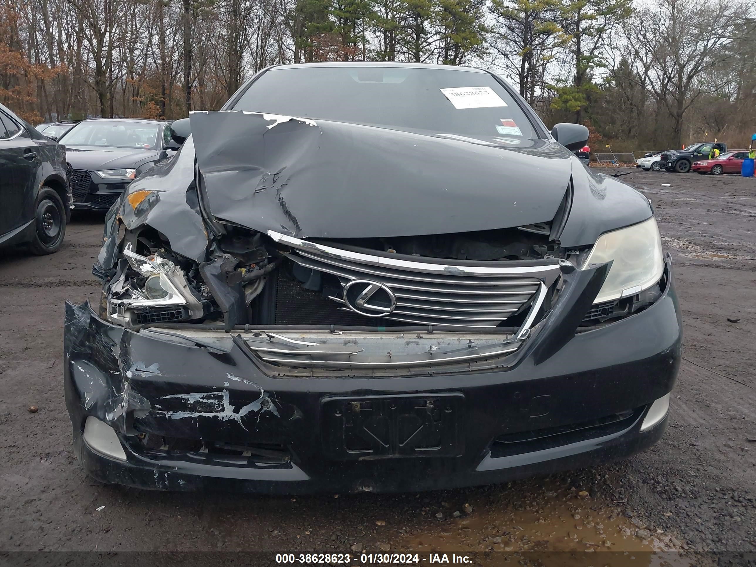 Photo 5 VIN: JTHCL46F795001765 - LEXUS LS 