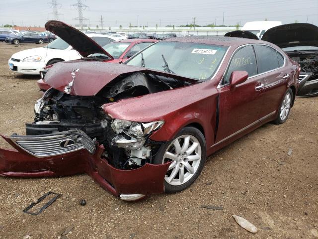 Photo 1 VIN: JTHCL46F895003329 - LEXUS LS 460 