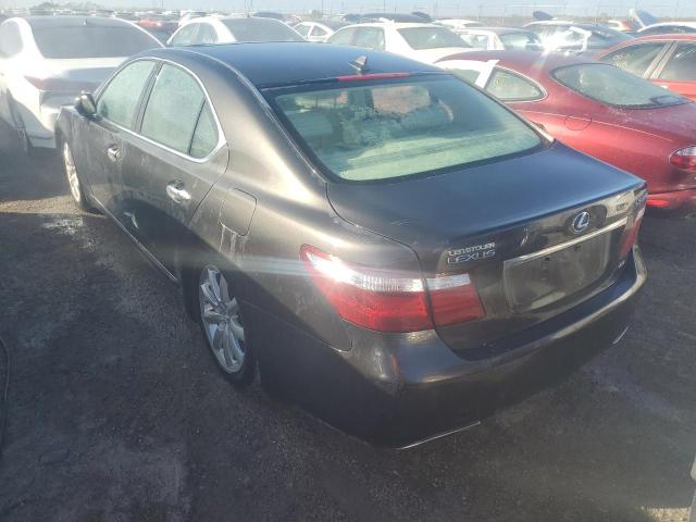 Photo 1 VIN: JTHCL46FX95001257 - LEXUS LS 460 