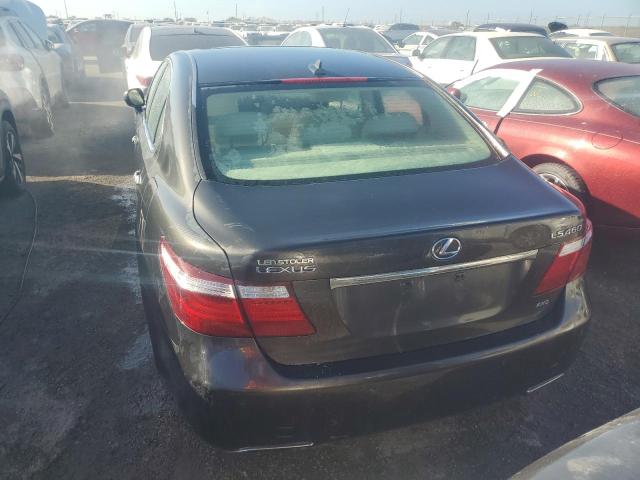 Photo 5 VIN: JTHCL46FX95001257 - LEXUS LS 460 