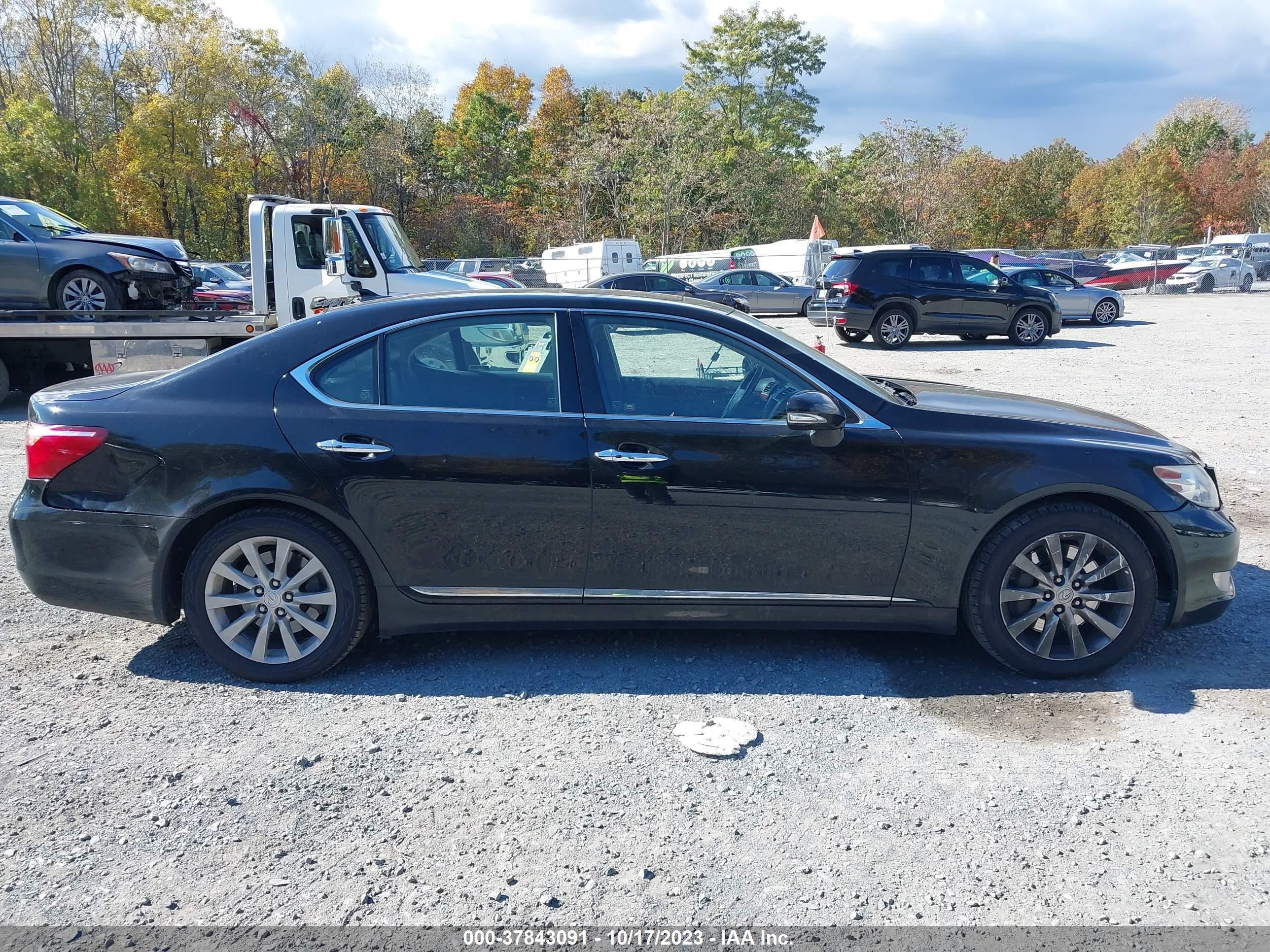 Photo 12 VIN: JTHCL5EF0B5011647 - LEXUS LS 