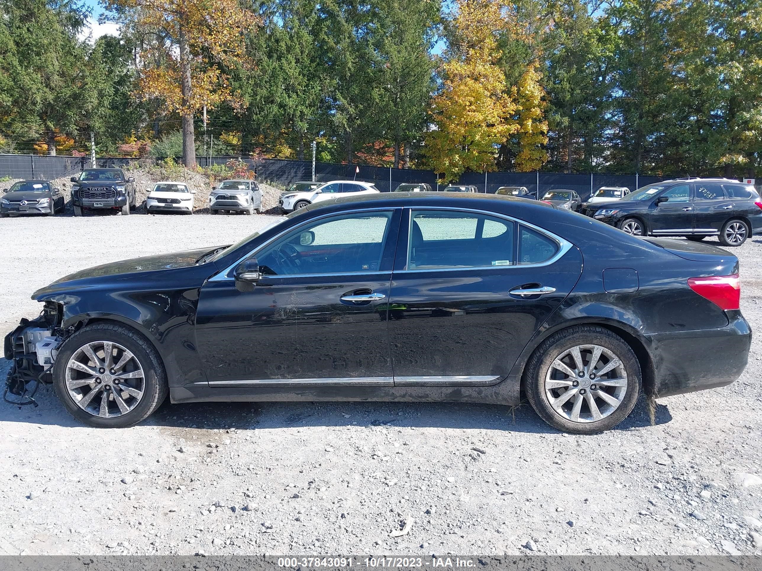 Photo 13 VIN: JTHCL5EF0B5011647 - LEXUS LS 