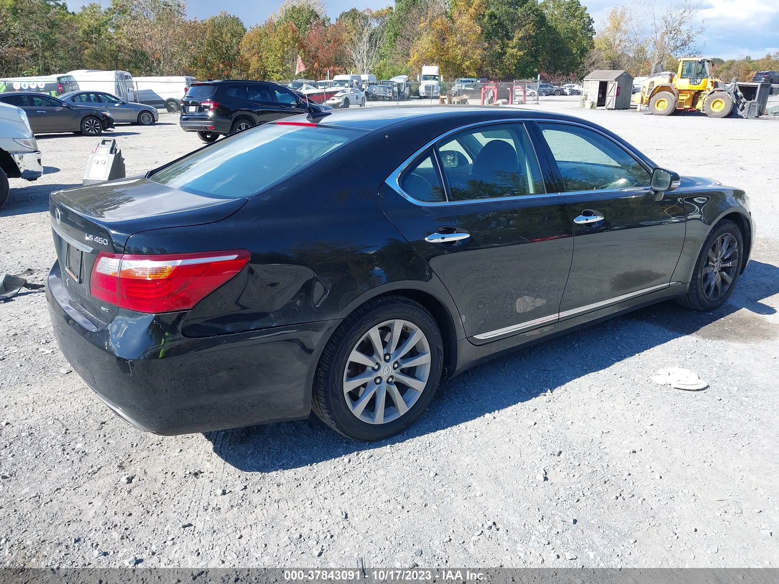 Photo 3 VIN: JTHCL5EF0B5011647 - LEXUS LS 