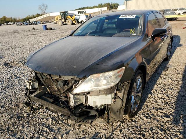 Photo 1 VIN: JTHCL5EF0B5011678 - LEXUS LS 460 