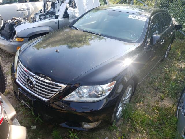 Photo 1 VIN: JTHCL5EF1A5005886 - LEXUS LS 460 