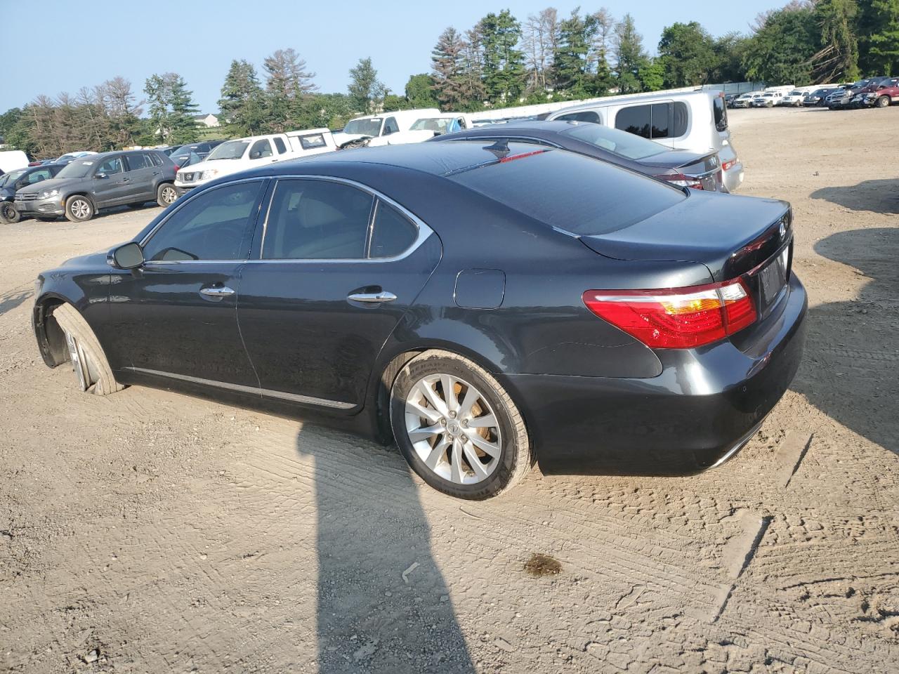 Photo 1 VIN: JTHCL5EF1B5009888 - LEXUS LS 