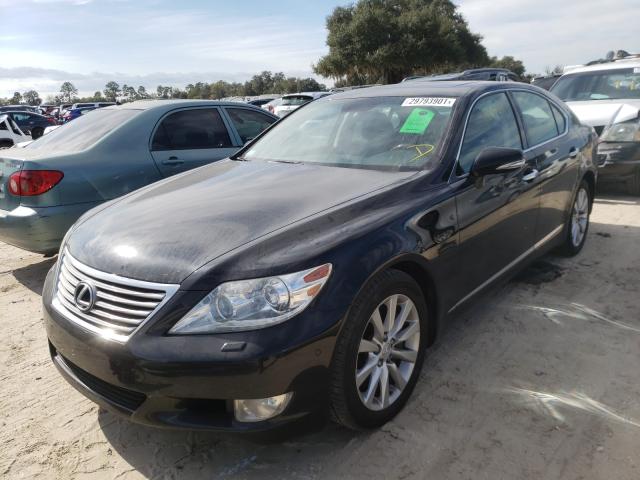 Photo 1 VIN: JTHCL5EF1B5012435 - LEXUS LS 460 