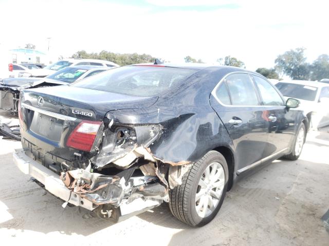 Photo 3 VIN: JTHCL5EF1B5012435 - LEXUS LS 460 