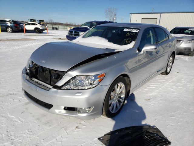 Photo 1 VIN: JTHCL5EF1C5014588 - LEXUS LS 460 