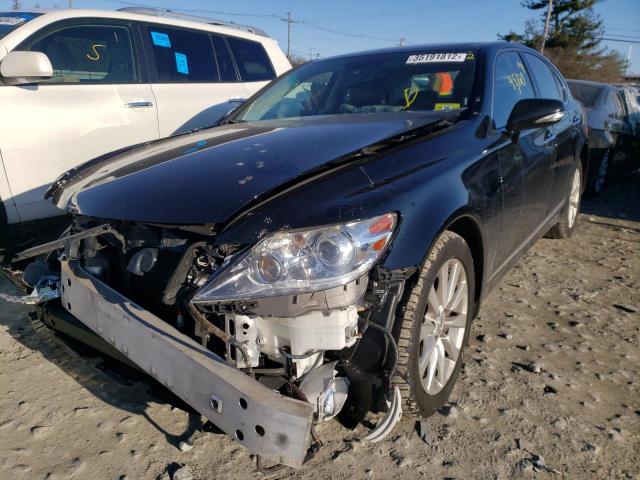 Photo 1 VIN: JTHCL5EF2A5008523 - LEXUS LS 460 