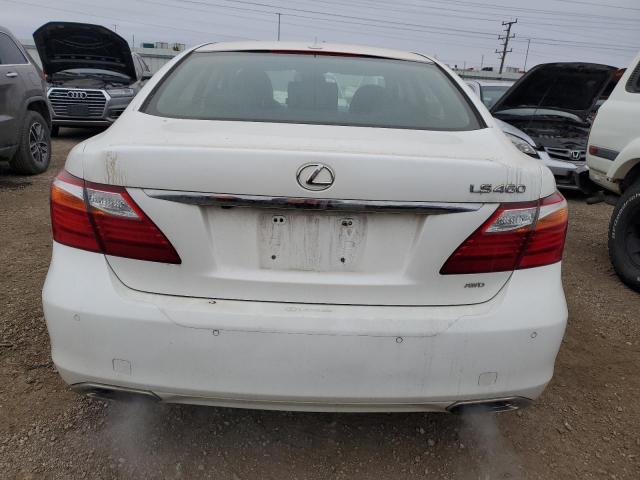 Photo 5 VIN: JTHCL5EF2B5010631 - LEXUS LS 460 