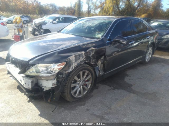 Photo 1 VIN: JTHCL5EF2B5011908 - LEXUS LS 460 