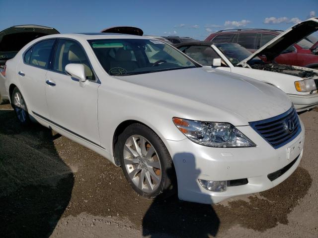 Photo 0 VIN: JTHCL5EF2C5012784 - LEXUS LS 460 