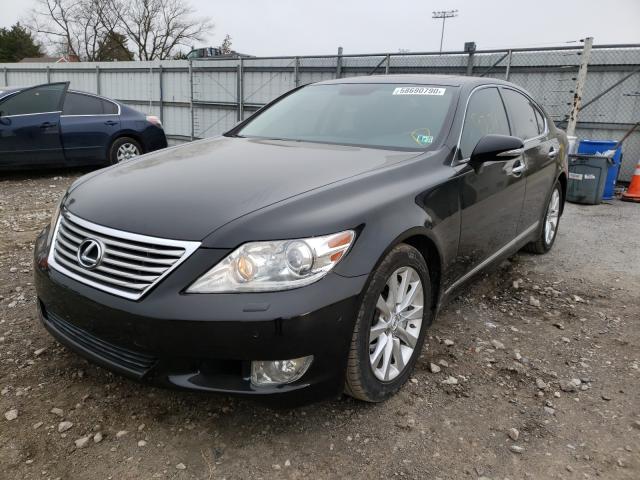 Photo 1 VIN: JTHCL5EF3A5004769 - LEXUS LS 460 