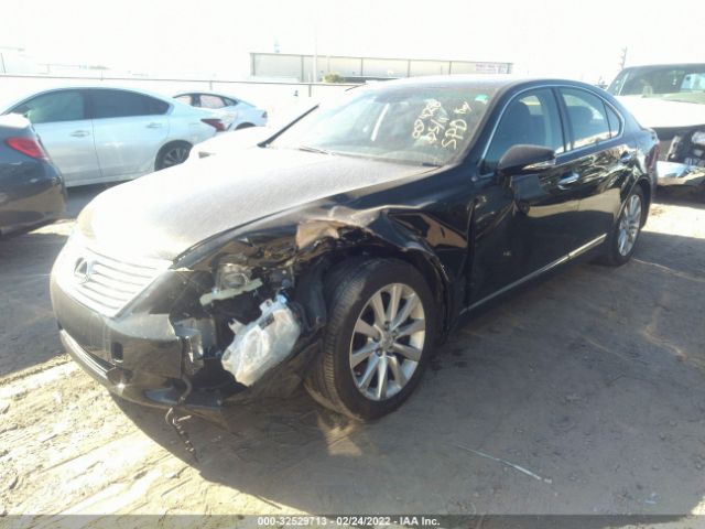 Photo 1 VIN: JTHCL5EF3A5007428 - LEXUS LS 460 