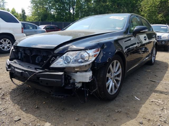 Photo 1 VIN: JTHCL5EF3B5009732 - LEXUS LS 460 