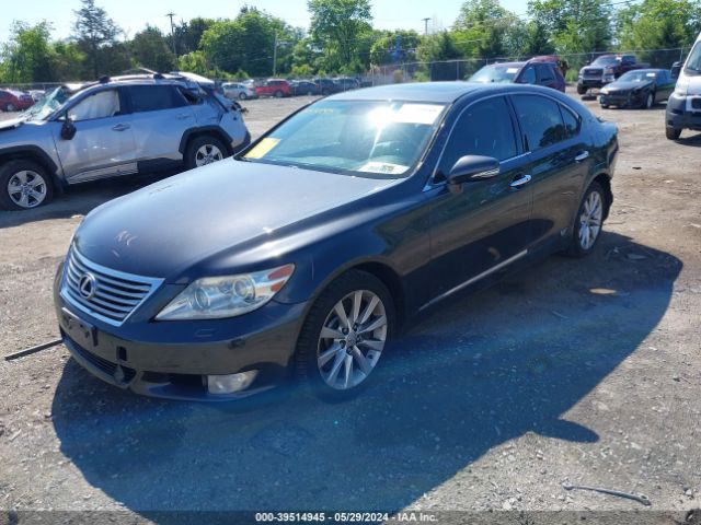 Photo 1 VIN: JTHCL5EF3B5011982 - LEXUS LS 