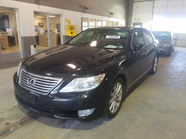 Photo 1 VIN: JTHCL5EF3C5015421 - LEXUS LS 460 